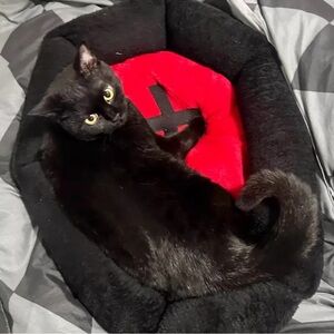 {NEW} Cozy Gothic Black and Red Cat Bed